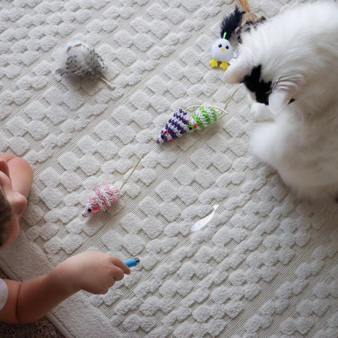 Turbo Cat LED Pointer Fish Light - Poudre Pet & Feed Supply 3